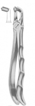  Fig. 79 lower third molars 